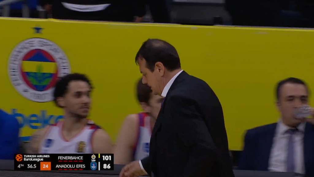 Ergin ataman.png